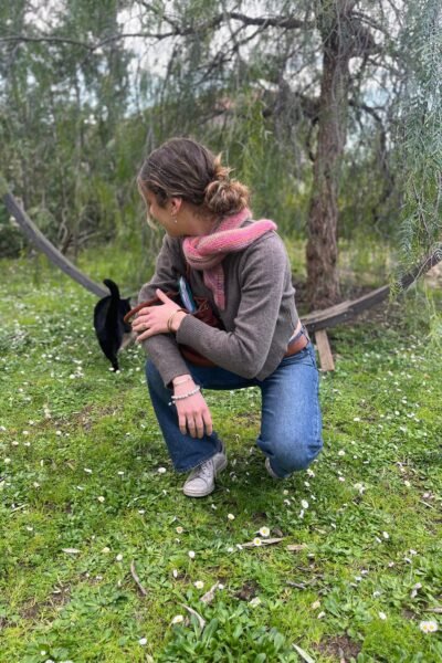 Châle en mohair, soie et mérinos